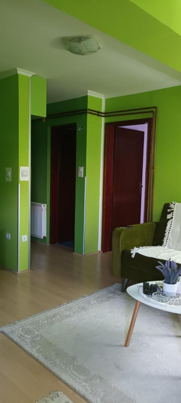 Апартаменты Apartman Gaga Пирот Экстерьер фото